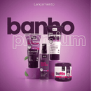 Kit Ameixa